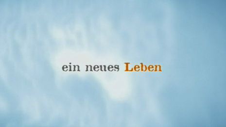 oekobox-5web.jpg