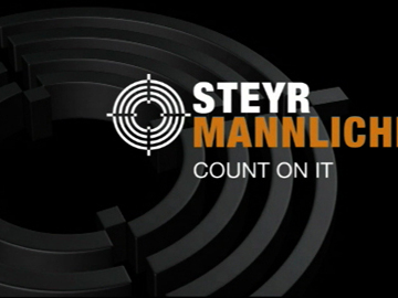 Steyrweb7.jpg